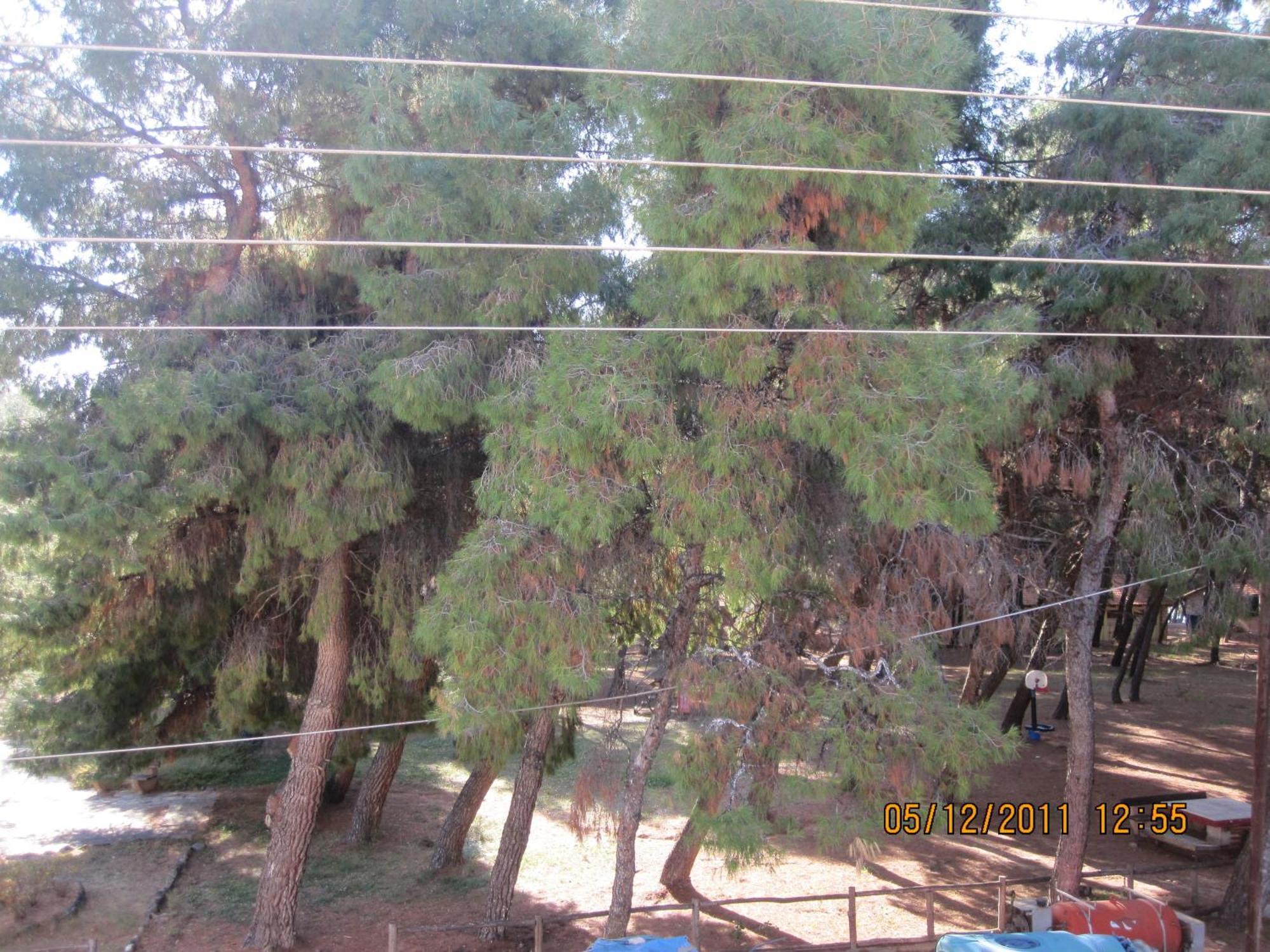 Vasiliki Appartamento